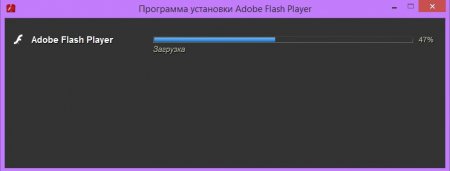 Как скачать и установить программу Adobe Flash Player?